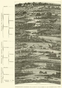 Développements progressifs de la flore et de la faune aux âges successifs de la terre