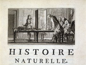 Dissection des animaux - dans "Histoire naturelle, générale et particulière" par Buffon - French School