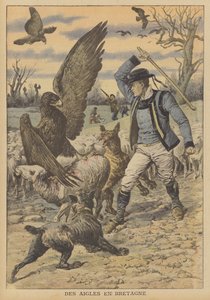 Aigles attaquant un troupeau de moutons en Bretagne (lithographie couleur) - French School