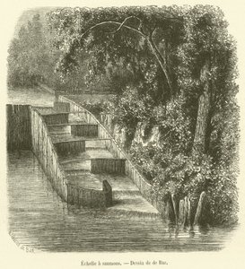 Échelle à saumons (gravure) - French School