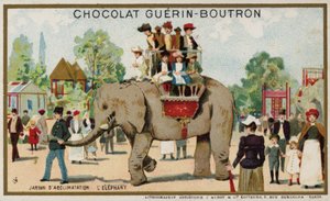 Éléphant, Jardin d
