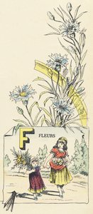 Fleurs