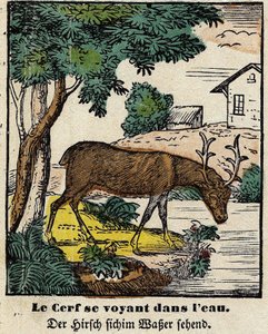Fables de La Fontaine : le cerf se voyant dans l