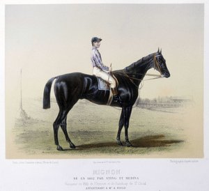 Cheval de course célèbre - dans « Le Centaure » 1866