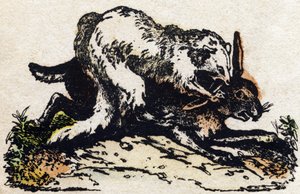 Furet. Gravure dans "Alphabet des animaux sauvages". 9e Série. Imagerie d