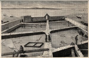 Pisciculture à Concarneau - Bretagne - Établissement de pisciculture - Concarneau - Finistère - Bretagne - gravure dans "PATRIE" - DESCRIPTION PICTURESQUE DE LA FRANCE EN 6 VOLUMES PAR LUCIEN HUARD - fin XIXe siècle - French School