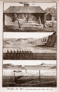 Pêche, harengs et sardines - « La Grande Encyclopédie, ou Dictionnaire Raisonné des Sciences, des Arts et des Métiers » par Denis Diderot - French School
