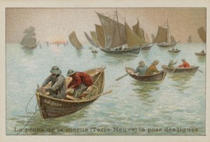 Pêche de la morue à Terre-Neuve - pose des lignes