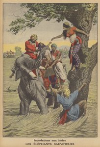 Inondations en Inde - French School