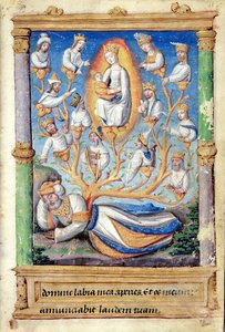 Fol.11r L