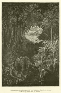 Forets sauvages et impenetrables..... le lourd mastodonte ecrasait sous ses pas les fleurs deja ecloses dans les clairieres - French School