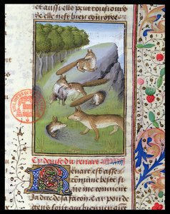 Renards, du Livre de la Chasse par Gaston Phébus
