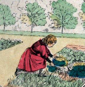 Croyance française : Une petite fille, croyant que les bébés naissent dans les choux ou les roses, coupe les pousses d