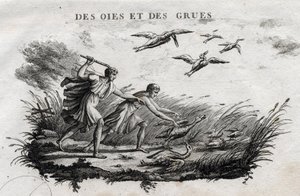 Oies et grues. Fable d