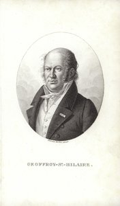 Geoffroy Saint-Hilaire