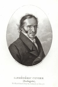 George Cuvier - French School