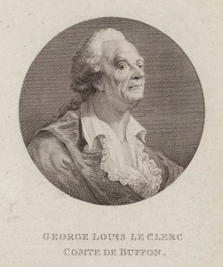 Georges-Louis Leclerc, Comte de Buffon, naturaliste français - French School