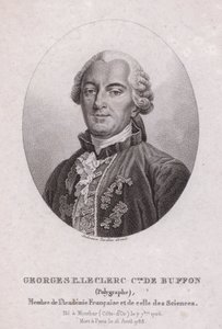 Georges-Louis Leclerc, Comte de Buffon, scientifique et écrivain français (gravure) - French School