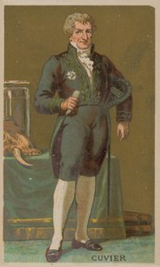 Georges Cuvier, naturaliste et zoologiste français - French School
