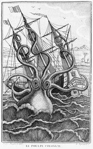 Poulpe géant, illustration de L