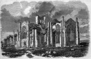 Architecture gothique : vue des ruines de l