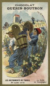 Panier de vendangeurs - French School