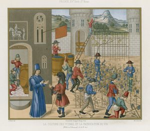 Culture de la vigne et fabrication du vin