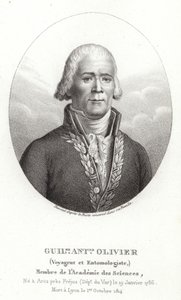 Guillaume Antoine Olivier - French School