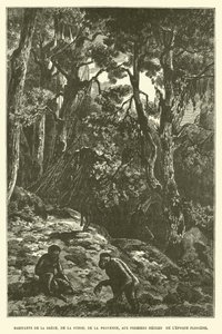 Habitants de la Grèce, de la Suisse, de la Provence, aux premiers siècles de l