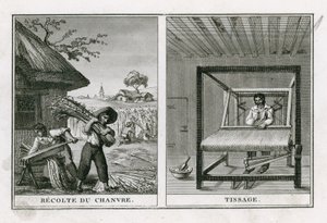 Récolte et tissage du chanvre - French School