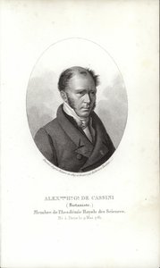 Henri Cassini - French School
