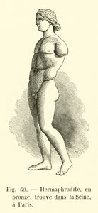 Hermaphrodite, en bronze, trouve dans la Seine, a Paris (engraving) - French School