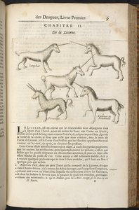 Histoire générale des Drogues, traitant des plantes, des animaux et des minéraux... par Pierre Pomet