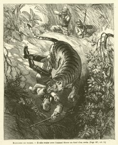Histoires De Tigres - French School