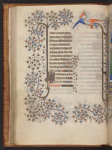 Heures de la Vierge, Livre d