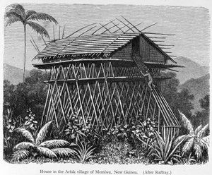 Maison dans le village Arfak de Memiwa, Nouvelle-Guinée, de 