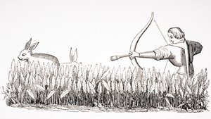Comment attirer le lièvre, d