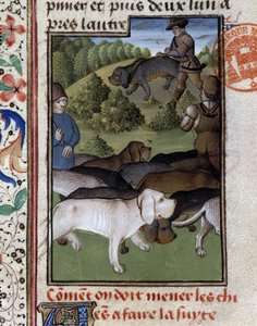 Chiens de chasse - dans "Livre de chasse de Gaston Phoebus, Comte de Foix, Seigneur de Béarn"