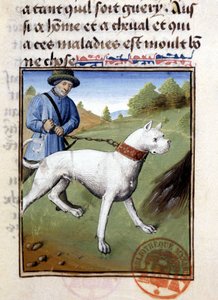 Chien de chasse tenu en laisse - dans "Livre de chasse de Gaston Phoebus, Comte de Foix, Seigneur de Béarn" - French School