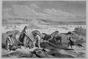 Chasse au guanaco (lama sauvage) et nandou (ou autruche patagonienne) en Argentine - dans "Tour du Monde", 2e semaine 1861 - French School