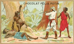 Chasse à l