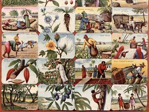 Illustration pour un manuel scolaire français des divers produits des colonies, c.1920-30