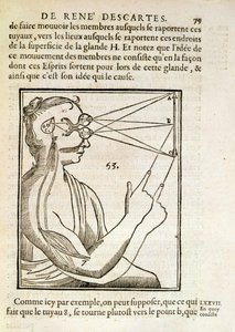 Illustration de De Homine Figuris par René Descartes (1596-1650) publiée à La Haye, 1662