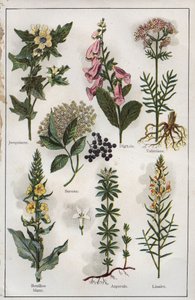 Illustration from "Mon docteur - Traite de Medecine et d