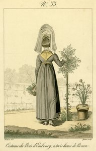 Illustration n° 33, Costume de Bois d