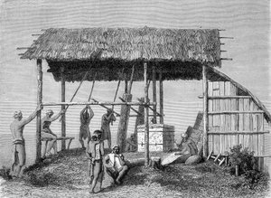 Illustration publiée dans l