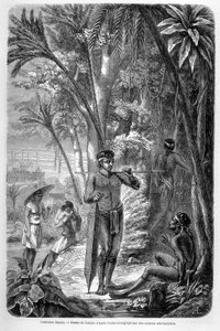 Illustration publiée dans l