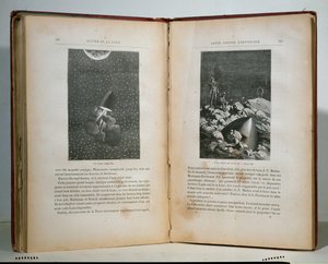 Illustrations de Autour de la Lune par Jules Verne (1828-1905)