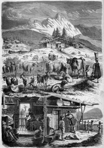 Habitants et industrie laitière des Alpes