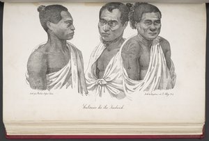 Habitants des îles Sandwich, de 